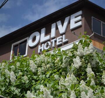 Фотографии Отель Olive Hotel Bishkek г. Бишкек (Киргизия) №3 Фото Отель Olive Hotel Bishkek г. Бишкек 3
