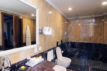 Фото номера Представительский люкс Отель Orion Hotel Bishkek г. Бишкек 2