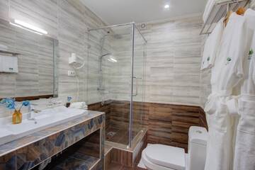 Фото номера Одноместный номер Отель Olive Hotel Bishkek г. Бишкек 5