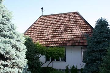 Фото номера Стандартный двухместный номер с 1 кроватью и общей ванной комнатой Мини-отель Astoria Garden г. Бишкек 5