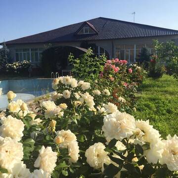 Фото номера Вилла Виллы Panorama Village Alibaba г. Бишкек 50